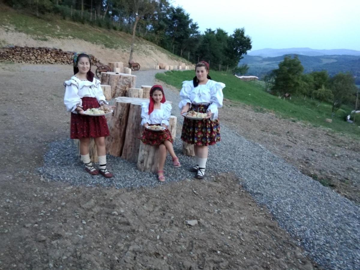 Pensiunea Valea Branzei Nanesti المظهر الخارجي الصورة