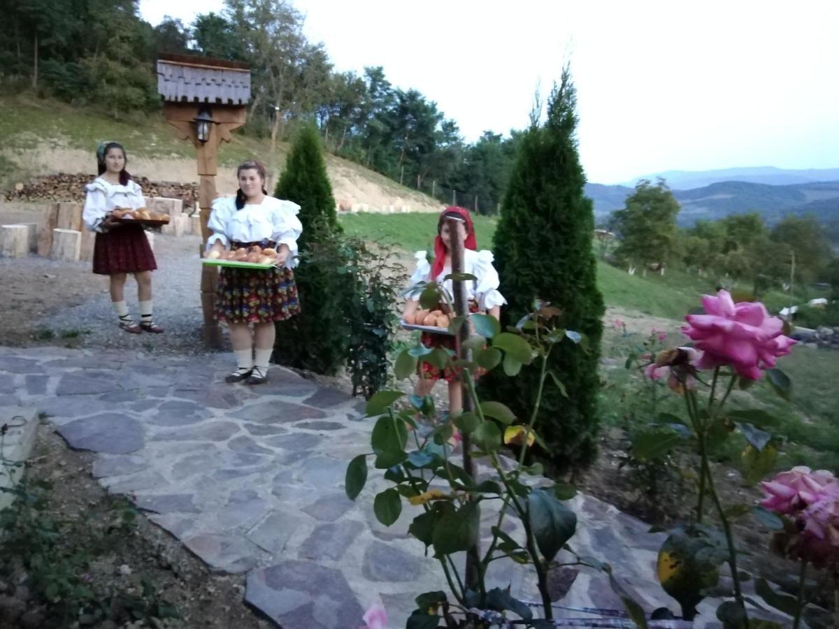 Pensiunea Valea Branzei Nanesti المظهر الخارجي الصورة