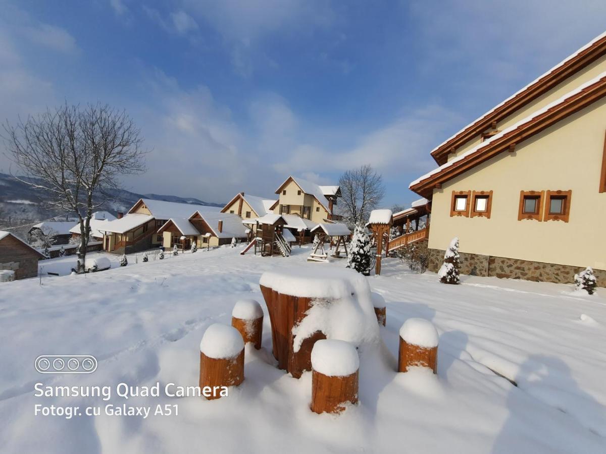 Pensiunea Valea Branzei Nanesti المظهر الخارجي الصورة