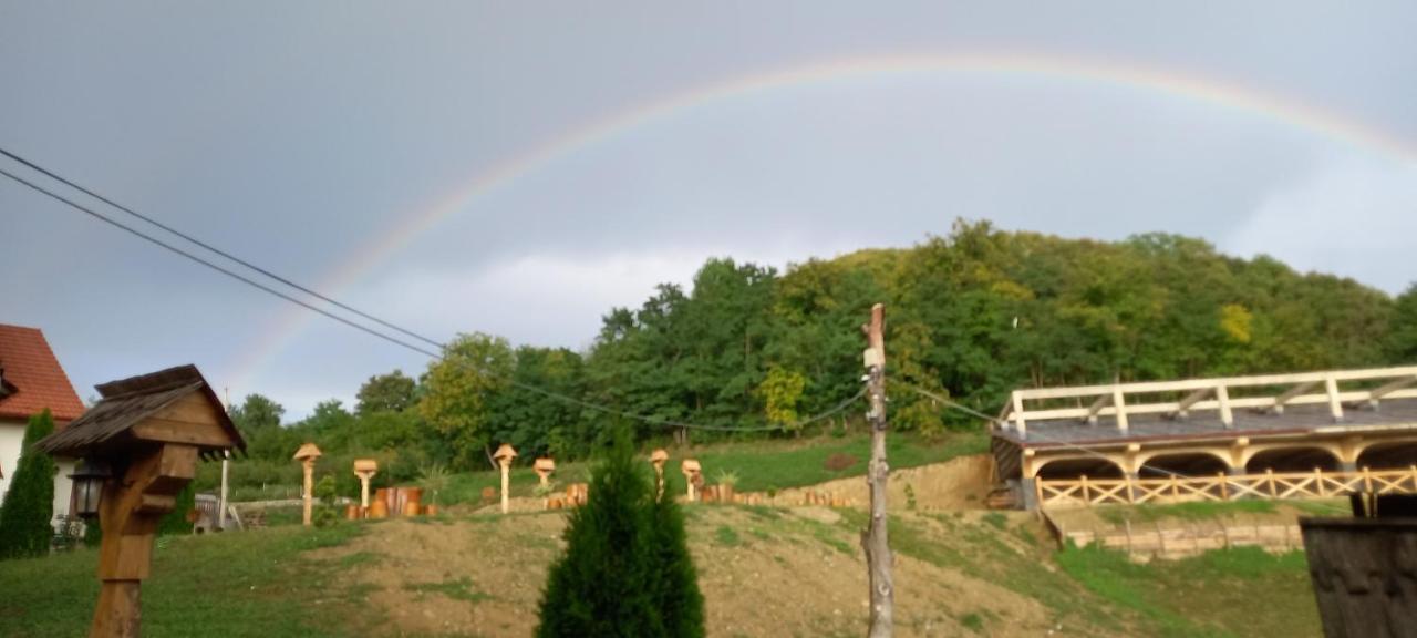 Pensiunea Valea Branzei Nanesti المظهر الخارجي الصورة