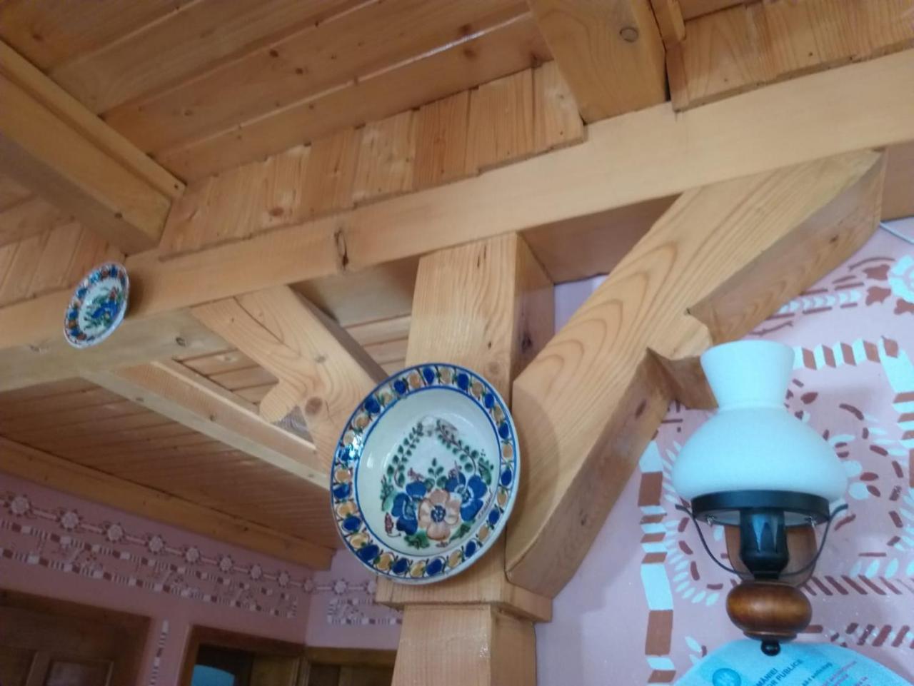 Pensiunea Valea Branzei Nanesti المظهر الخارجي الصورة