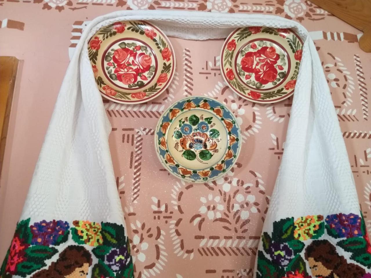 Pensiunea Valea Branzei Nanesti المظهر الخارجي الصورة