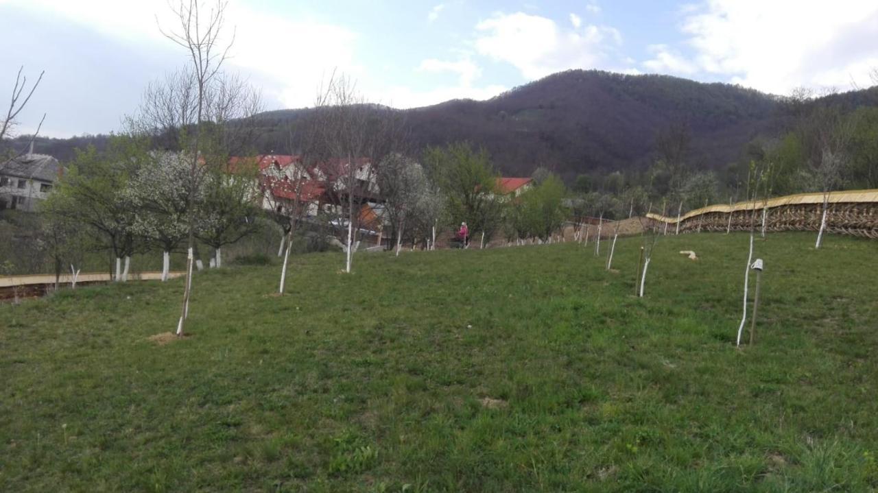 Pensiunea Valea Branzei Nanesti المظهر الخارجي الصورة